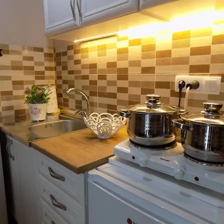 Bogic Голубац